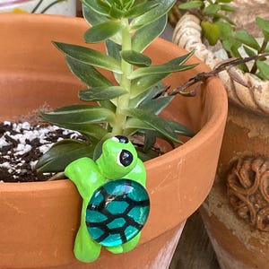 May include: A bright green turtle-shaped pot clip with a turquoise and black shell design, attached to the rim of a terracotta pot. The pot contains a green succulent plant. Another pot with greenery is in the background.