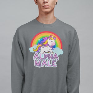 May include: A gray sweatshirt featuring a cartoon unicorn with a rainbow and clouds. The unicorn has a pink face, yellow hair, and a purple mane. The text "ALPHA MALE" is below the unicorn in pink and white letters.