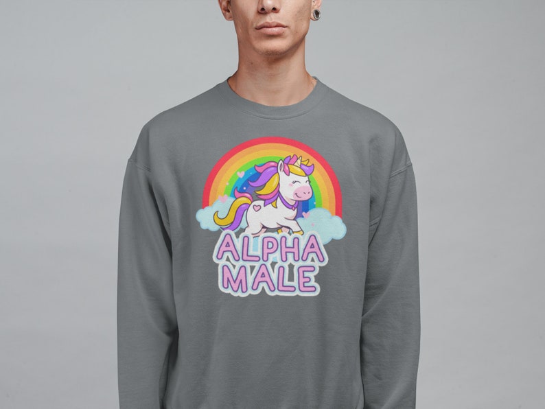 May include: A gray sweatshirt featuring a cartoon unicorn with a rainbow and clouds. The unicorn has a pink face, yellow hair, and a purple mane. The text "ALPHA MALE" is below the unicorn in pink and white letters.