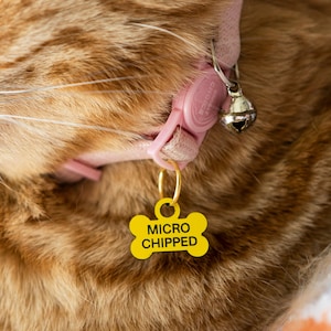 Esa cat collar new arrivals