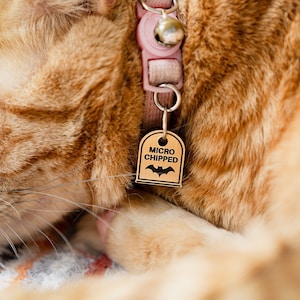 Placa de identificación para gato con microchip Tombstone, miniplaca de identificación con microchip grabada a láser para gatito, placa pequeña para mascota, divertido amuleto gótico para cachorro.