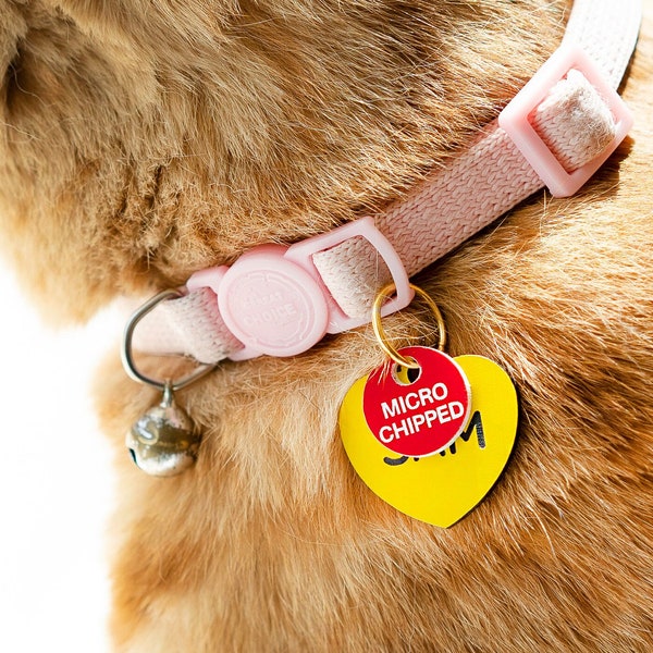 Microchipped Acrylic Pet Cat Dog Collar ID Tag, Dog & Cat ID Name Tag, Pet Collar Alert Tag, Needs Meds Medical Silent Dog Cat Pet ID Tag