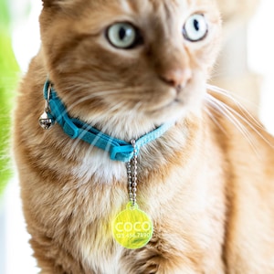 Etiquetas de identificación personalizadas para perros y gatos, de acrílico, con grabados, con forma de corazón y hueso.
