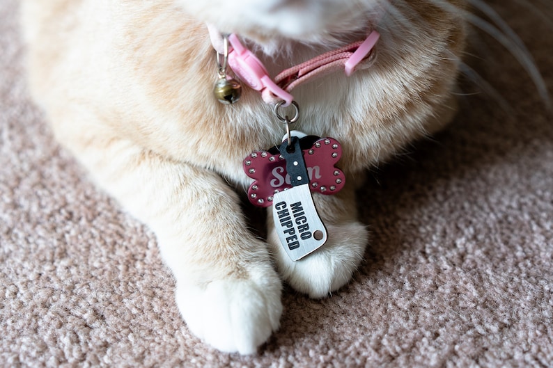K&ouml;nnte beinhalten: Nahaufnahme einer Katzenpfote mit einem rosa Halsband und einem knochenf&ouml;rmigen Anh&auml;nger mit der Aufschrift "Mikrochip" und "Sam".