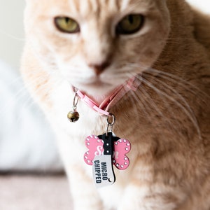 K&ouml;nnte beinhalten: Nahaufnahme einer hellorangen Katze, die ein rosa Halsband mit einer Glocke und einem rosa knochenf&ouml;rmigen Anh&auml;nger tr&auml;gt, auf dem "MICRO CHIPPED" steht.