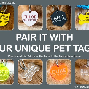 K&ouml;nnte beinhalten: Eine Collage aus acht verschiedenen Haustier-ID-Tags in verschiedenen Formen und Farben. Die Tags zeigen verschiedene Namen und Telefonnummern. Der Text "NEW COLORS AND SHAPES" erscheint oben im Bild. Der Text "PAIR IT WITH OUR UNIQUE PET TAGS" erscheint in der Mitte des Bildes. Der Text "Please Visit Our Store or The Links In The Description Below" erscheint unter dem Text "PAIR IT WITH OUR UNIQUE PET TAGS". Der Text "NEW TRANSLUCENT COLORS" erscheint unten im Bild.