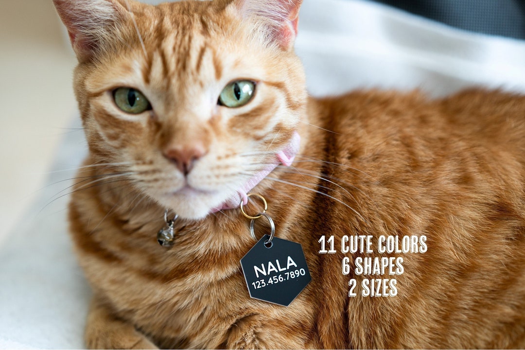 Dog Cat ID Tag, Pet Collar Name Tag, Pet Collar Alert Tag, Personalized