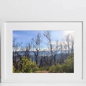 Mt Cannibal Bushfire Regrowth Mountain View Photography | Australian Landscape Scenery | Digital Download Art | Victoria | Home Wall Décor