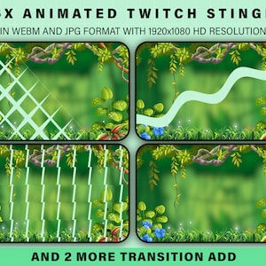 Twitch Stinger Transition | Forest Vibe Six Transition | Screen Transition