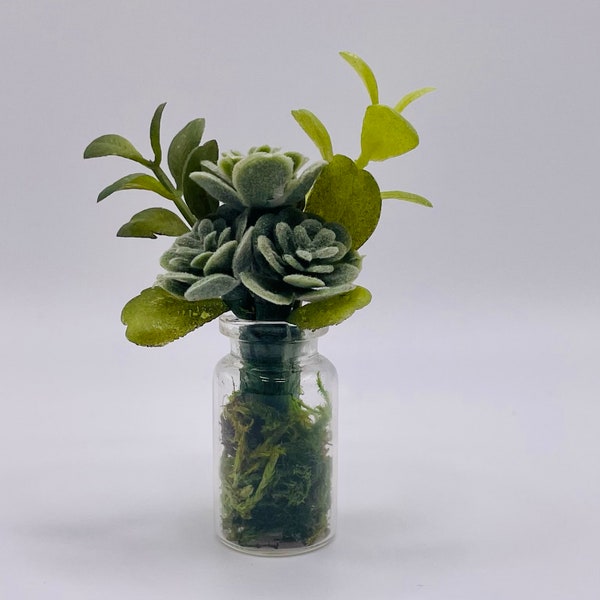 Succulent Etsy