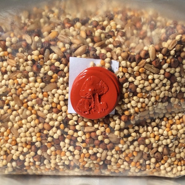 1lb Premium Milo/Millet Grain Spawn-Hand Crafted-Sterilized-Supplemented for optimal mushroom growth with Magic Formula, Milo/Sorghum Millet