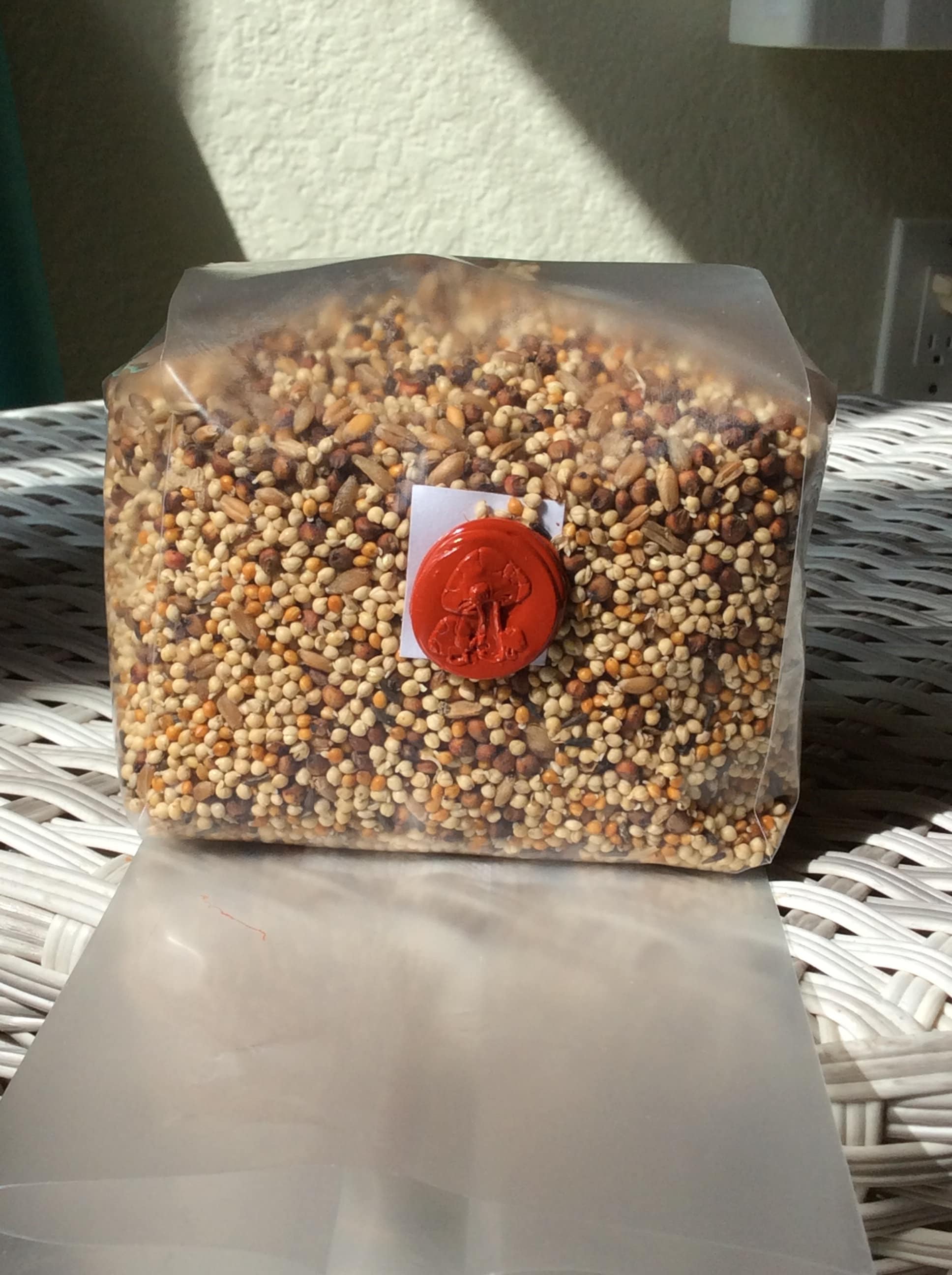 Premium Milo/millet Grain Spawnhand Etsy