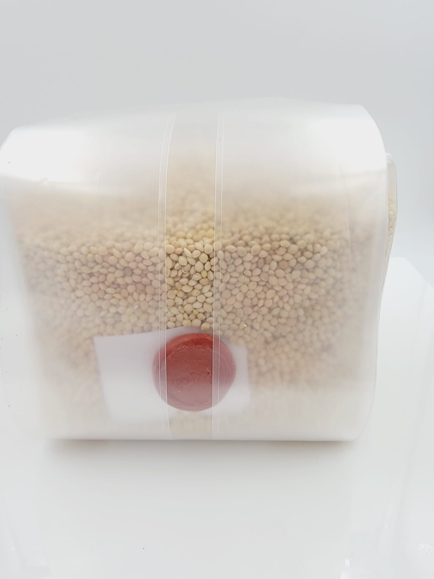 6.6 Lb2 Bags Grain Spawn Bag,fast SHIPPING Millet,custom Injection
