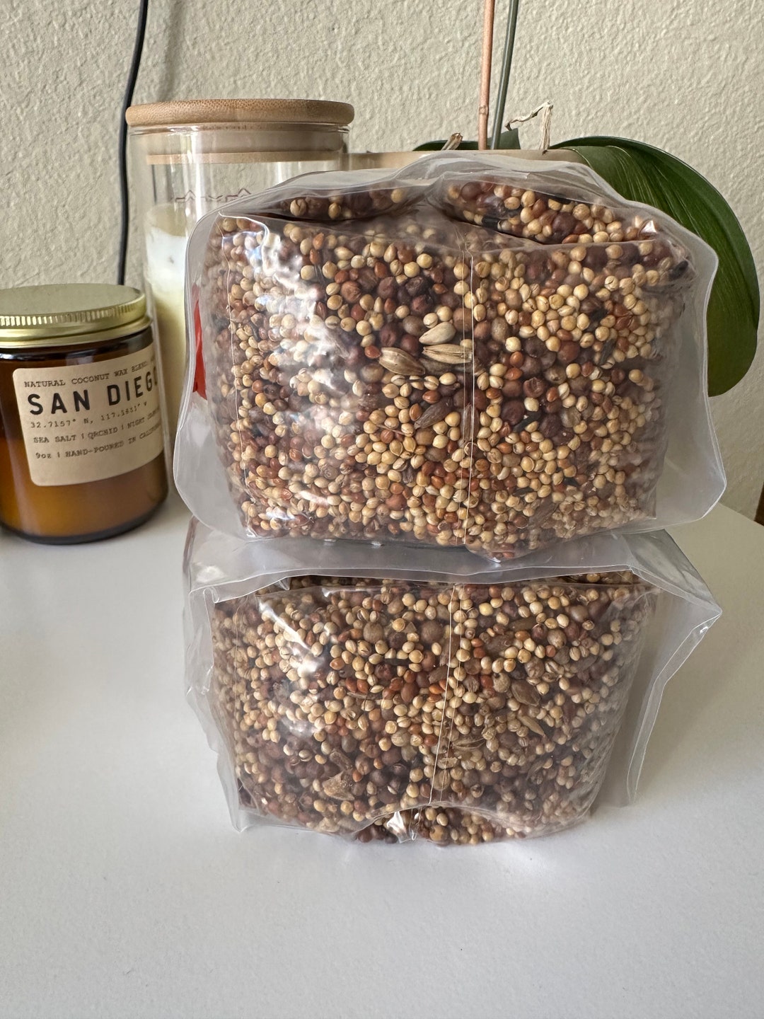 2 1lb Premium Milo/millet Grain Spawnhand Craftedsterilized