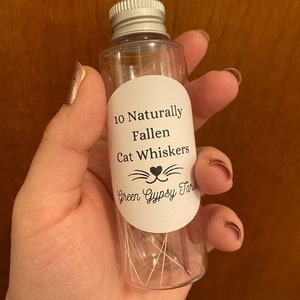 Naturally Fallen Cat Whiskers