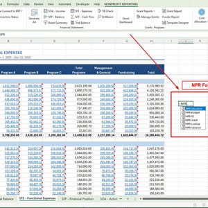 May include: Screenshot of a spreadsheet in a software program, displaying financial data categorised by expense type. A red arrow points to a box labelled "NPR Formulas" with options like "NPR_Allocated" and "NPR_Budget".