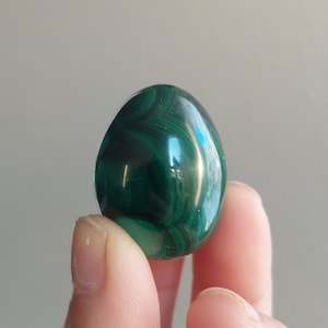 Small Malachite Egg Hand Carved, Super cute, Comes w/Fluorite stand