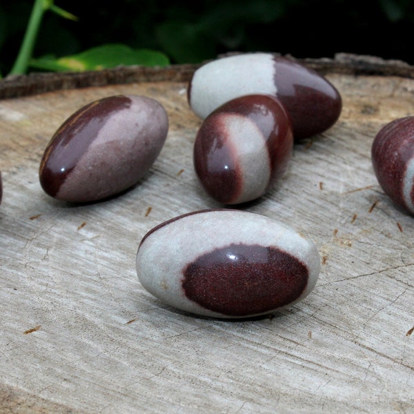 Narmada Shiva Lingam naturel