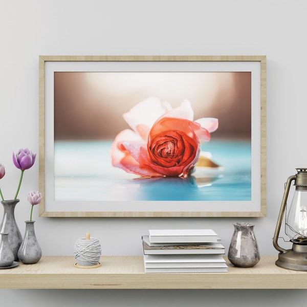 Ranunculus Rose Flower Print Download, Printable Wall Art Decor, Petals, Romantic, Macro, Photo, Flower Garden, Botanical, Instant Download