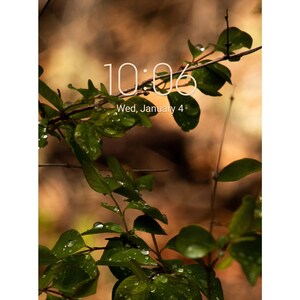 Dew-Kissed Leaves Smartphone Wallpaper (Android/Apple)