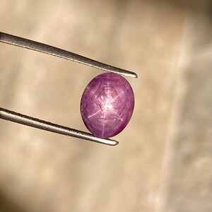 May include: A purplish-red, oval gemstone, held by silver tweezers. The gem has a six-rayed star pattern across its surface. The background is a blurred, neutral tone. The gem is likely a ruby.