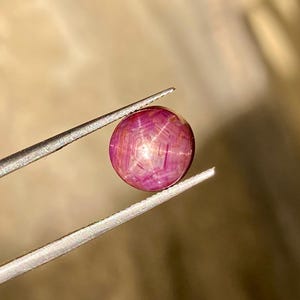 Pode incluir: Uma gema redonda e polida, segurada por uma pinça. A gema é de uma cor vermelho-rosada profunda com um padrão em forma de estrela visível em sua superfície. A pinça é prateada e o fundo é de um tom suave e neutro.