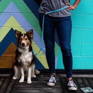 Hands Free Leash | 4 in 1 Multi-Purpose Leash | Cross-Body Leash | Running Hands Free Leash | Made with BioThane | Waterproof