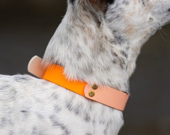 Trio Collar | Multi-color adjustable dog collar | 3 custom colors and size | Made with genuine BioThane | Waterproof dog collar