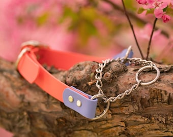 Adjustable Martingale Collar | Made with 1" BioThane | Customize your colors and hardware