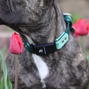 Fi Series 3 Compatible 1&quot; Collar | Waterproof |  Adjustable | Customize BioThane Colors | End links are included