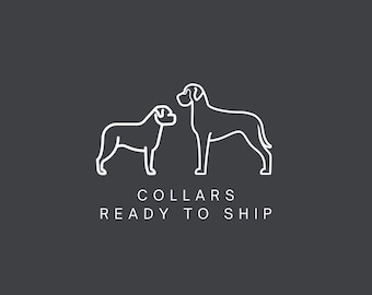 Collars & Tabs - Ready to Ship | Pre-Made BioThane Collars and Grab Tabs