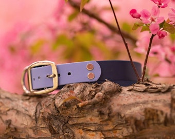 Duo - 1" Two Toned Collar | Custom Colors, Adjustable and Waterproof