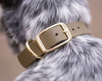 Classic 1" Dog Collar | Adjustable buckle | Genuine BioThane® | Waterproof and durable
