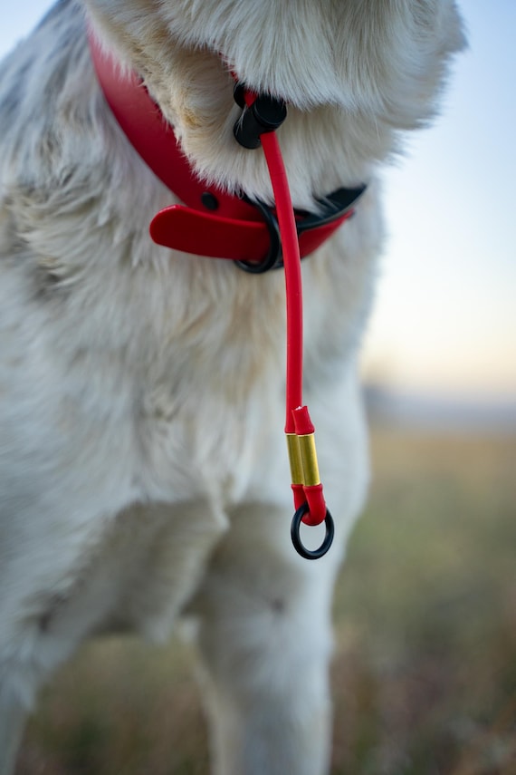 Adventure Slip Collar With Built in Grab Tab Rope Biothane off Leash Training Dog Sports Waterproof Custom Sizing and Colors Etsy