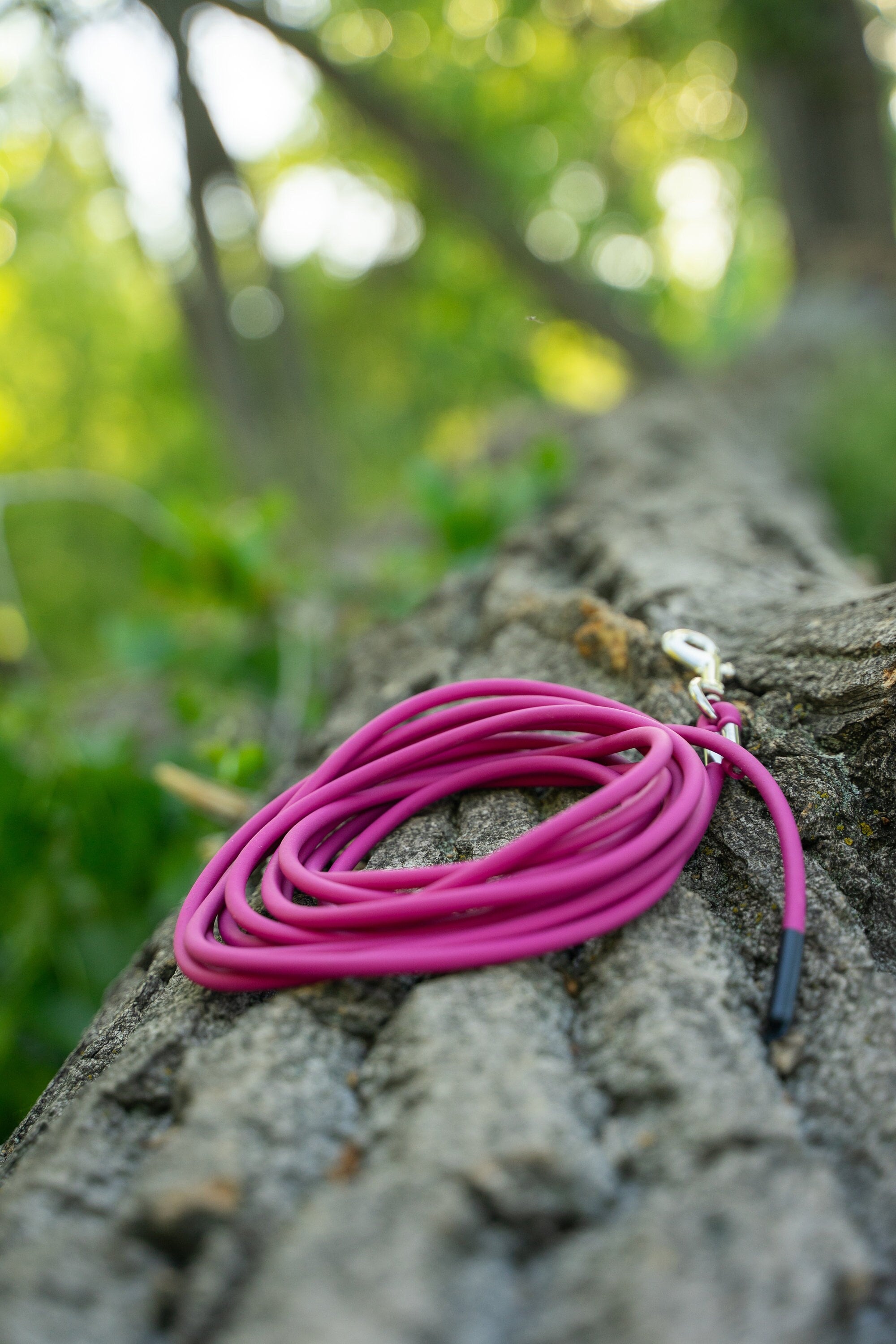 Nylon Dog Leash - 1 Inch Wide, 4/5/6 Ft Length Options For Medium Large Dogs (Pink)