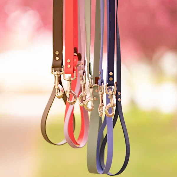 Classic Leash | Waterproof dog leash made with genuine BioThane® | Custom lengths and colors | Choose from 3 widths - 1/2", 5/8", or 1"