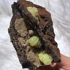 Op de afbeelding: Een cluster van felgroene kristallen ingebed in een donkerbruine rots. De kristallen zijn doorschijnend en hebben een glazige glans. De rots is ruw en getextureerd.