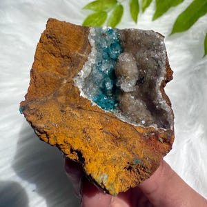 Lustrous Ojuela Mine Druzy Calcite & Rosasite Geode Specimen / Vibrant Rosasite and Calcite Druzy Cluster from Ojuela Mine, Mexico 112g