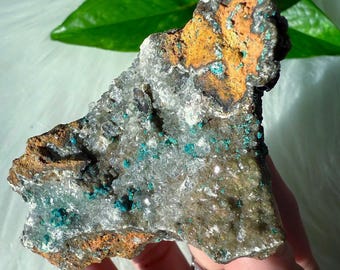 43gr. 宝石質アダマイト結晶。メキシコ、ラ・オフエラ鉱山 - Etsy 日本