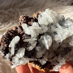 High Quality Ojuela Mine Mouse Ear Calcite Specimen on Druzy Matrix / Flashy Ojuela Mouse Ear Calcite Cluster from Mapimi, Mexico 145g