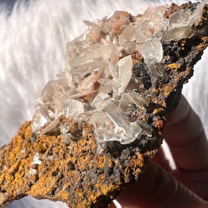 High Quality “Mouse Ear” Calcite with Goethite on Matrix from Ojuela Mine, Mexico / Lustrous Mexican Calcite & Goethite Specimen 62g