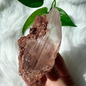 High Quality Naica Mine Selenite Crystal Specimen on Matrix with Flashy Inclusions / Flashy Naica Selenite Crystal 126g