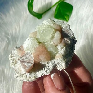 May include: A mineral specimen featuring a cluster of pale green crystalline structures and soft peach-colored, rounded formations set upon a textured, off-white rocky matrix. The piece displays varied geometric shapes and a natural, raw surface.