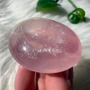 May include: A smooth, oval-shaped rose quartz stone. The translucent pink stone has subtle variations in color and texture. The stone is held in a hand, with a soft, white background and green leaves visible in the background.