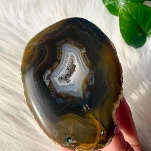 Timor Agate - Etsy