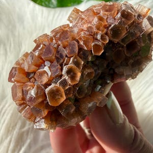 Lustrous Aragonite Sputnik Cluster from Morocco / Flashy Red Aragonite Specimen 114g