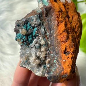 High Quality Ojuela Mine Rosasite on Calcite Specimen with Druzy Cave / Vibrant Rosasite Crystal Speciken from Ojuela Mine Mexico 113g