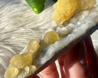 Yellow Botryoidal Fluorite on Matrix Specimen from Xinyang, Henan China / Gemmy Botryoidal Fluorite Crystal on Druzy Matrix 46g