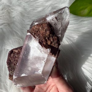 Large Lustrous Naica Mine Selenite Crystal on Matrix / Rare Naica Selenite Specimen on Matrix from Mexico 247g