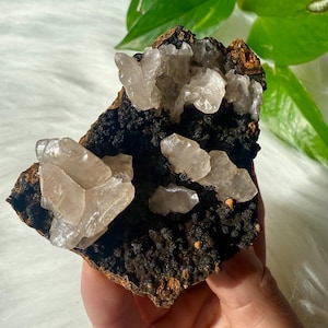 FLASHY Manganese Included Calcite on Goethite from Ojuela Mine, Mexico / Lustrous Pink Manganese Calcite on Goethite Cluster from Ojuela 81g